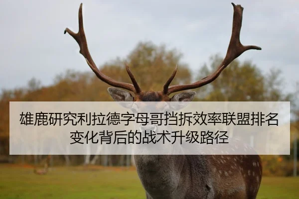 雄鹿研究利拉德字母哥挡拆效率联盟排名变化背后的战术升级路径