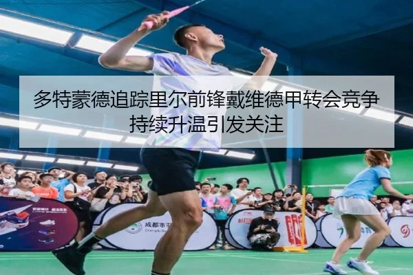 多特蒙德追踪里尔前锋戴维德甲转会竞争持续升温引发关注